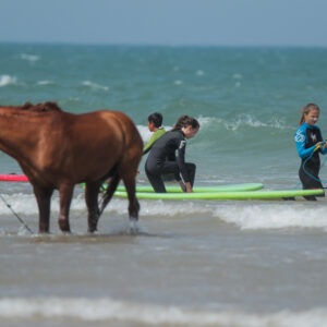 Bleukite surf school group classes students with a horse in the background Essaouira Morocco